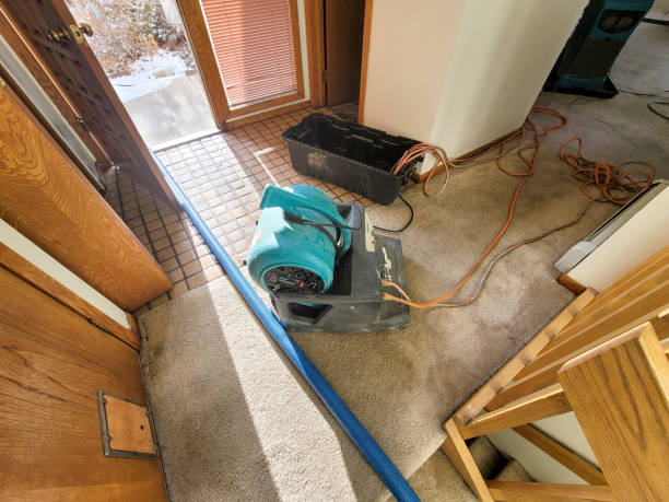 Best Local water damage restoration  in Sullivans Island, SC