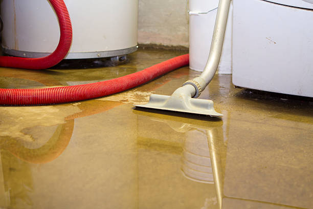 Best Sewage cleanup and water damage restoration  in Sullivans Island, SC